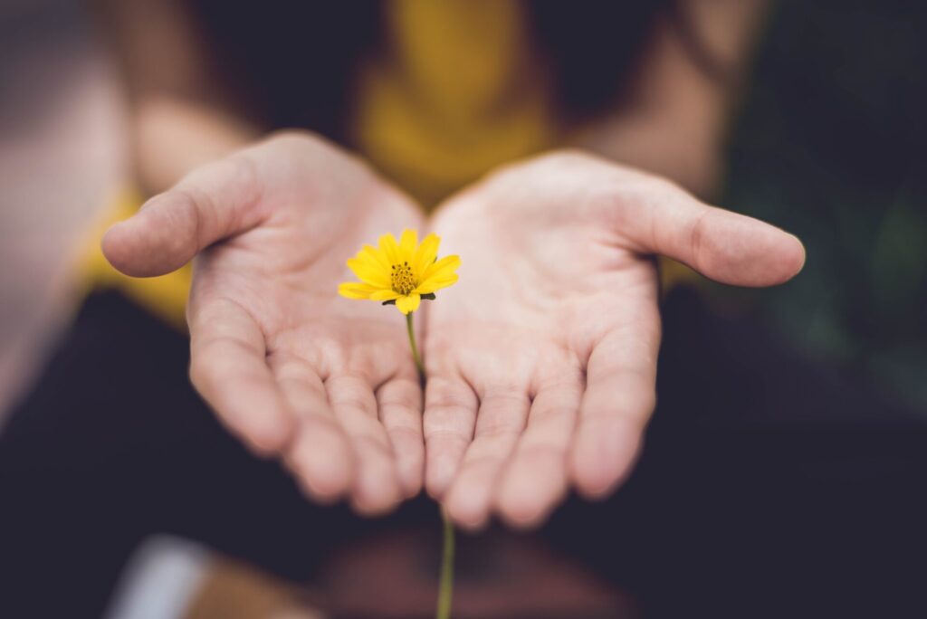 両手で持つ黄色い花